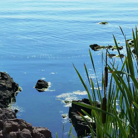 アパート Sea View