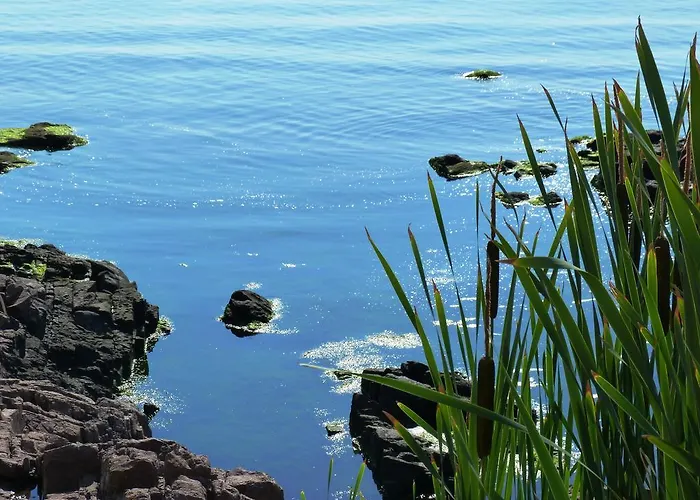 アパート Sea View